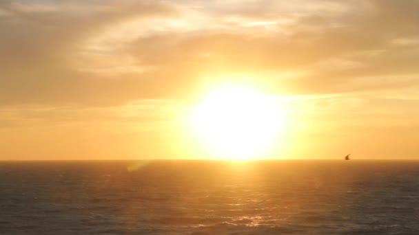 Les oiseaux volent contre le vent, avec le coucher du soleil en arrière-plan à la plage. Mer et soleil 
