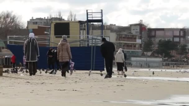 Sunset Walk Beach Inglés Viejos Caminando Por Playa Personas Mayores — Vídeo de stock