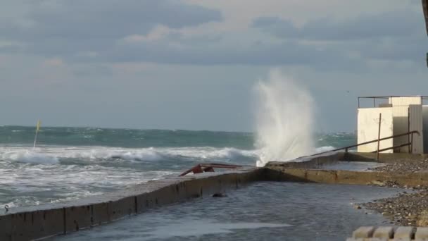 Grandes Olas Poderosas Rompiendo Malecón Una Gran Tormenta Severa Rusia — Vídeo de stock