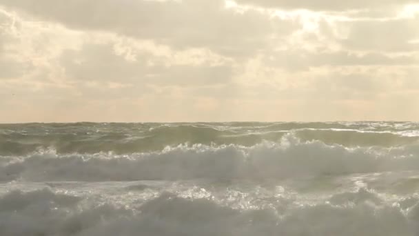 恶劣天气下的狂风暴雨海飓风飓风风 海水大浪花飞溅海滩 俄罗斯 阿纳帕市 — 图库视频影像