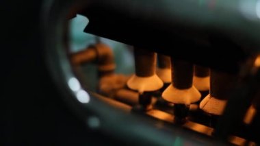 Kızartma makinesi penceresinde kontrol arkasında dönen çiğ kahve çekirdekleri