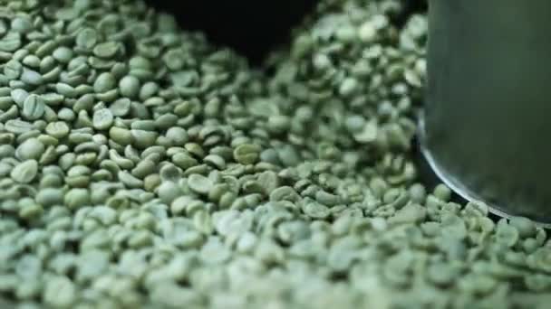 Preparação Grãos Café Crus Para Assar — Vídeo de Stock