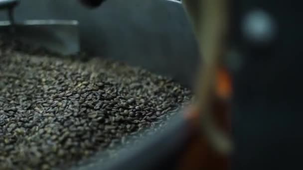 Ristede Kaffebønner Maskinen – Stock-video