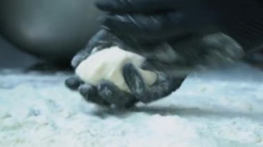 Adam formları cheesecake bir bıçak yardımıyla. Bir bıçak bir un ürün şeklinde aşçı formlar.