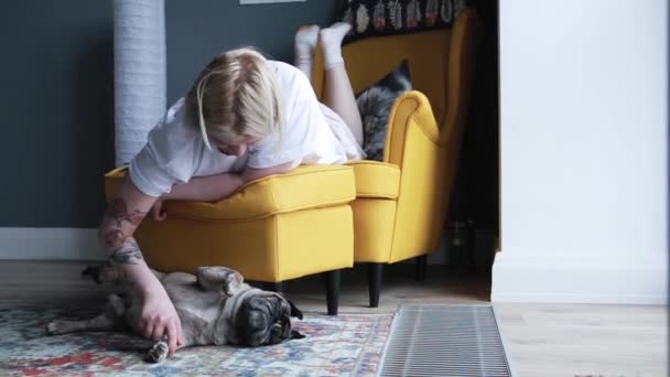 Woman Pet Her Pug Cute Lifestyle Scene — Stock Video