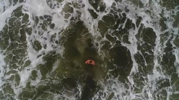 男がビーチでジョギングの高い角度のビュー 青い海の水に浮かぶ男性スイマーの上のドローン映像 緑の海 — ストック動画