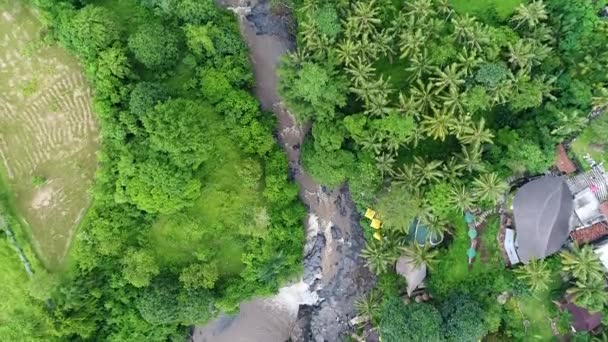 俯瞰森林深处的瀑布 热带岛屿上的山区河流 俯瞰全景 — 图库视频影像