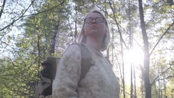 森の中を歩く少女 夏のハイキングサニーデーハイキングトレイル 国立公園ハイキング森の道 緑の草原花の森人ハイキング ハイカーガールウォーキング 夏の休暇観光 — ストック動画