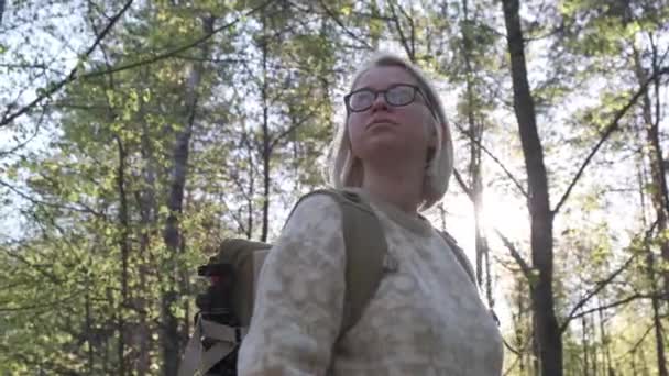Κορίτσι Που Κάνει Πεζοπορία Στο Δάσος Summer Hike Sunny Day — Αρχείο Βίντεο