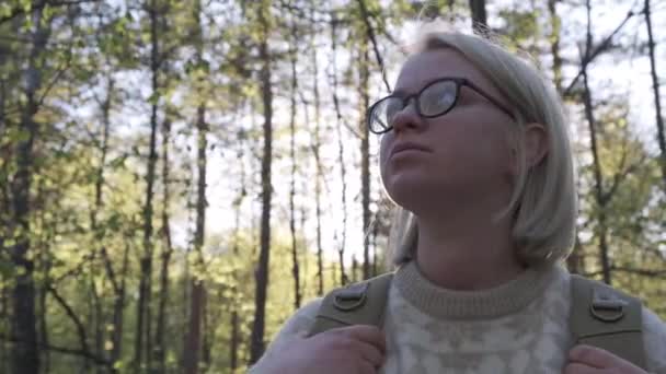 Conceito Aventura Viagem Viajante Menina Está Andando Pela Floresta Com — Vídeo de Stock