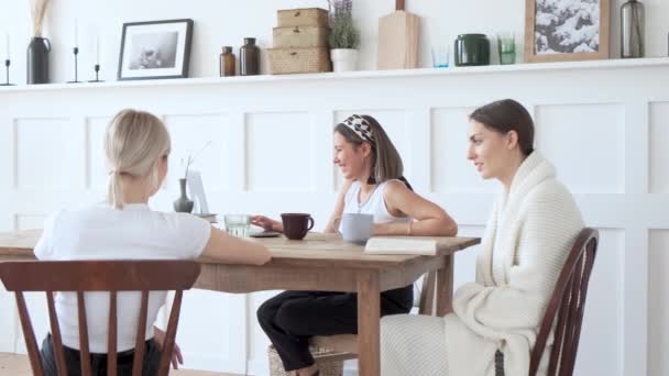 Felice Giovani Ragazze Rilassarsi Seduti Sulla Scrivania Ricerca Fare Lavoro — Video Stock