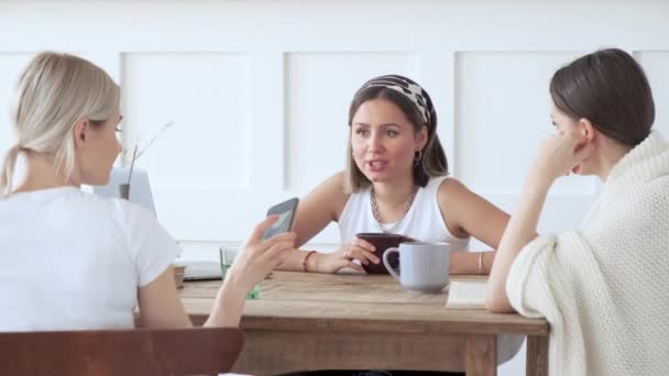 Mulheres Amigos Gastando Tempo Livre Bela Casa — Vídeo de Stock