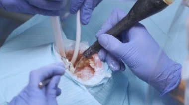 Dişe reçine bazlı bileşik dolgu uygulanıyor. Dişçi kliniğindeki genç kadın. Modern diş muayenehanesindeki ağız boşluklarını tedavi eden asistanı olan kadın diş hekimi..