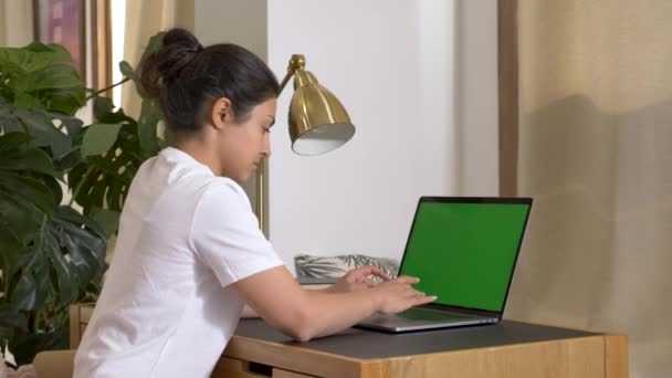 Femme Indienne Aide Ordinateur Portable Surfer Sur Internet Avec Écran — Video