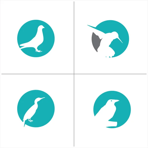 Vögel Vektor Logo Design Grün Kreis Kolibri Taube Krähe Spatz — Stockvektor