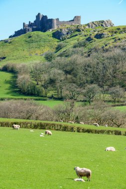 Ruins of Carreg Cennen Castle perched on a ridge near the village of Trap, in the Brecon Beacons National Park, South Wales. It was laid waste during the Wars of the Roses clipart