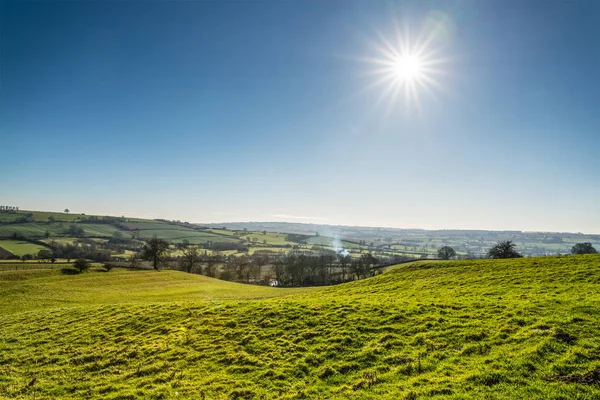 Campo Inglés Contra Sol Bajo Día Brillante Inviernos Warwickshire Reino —  Fotos de Stock