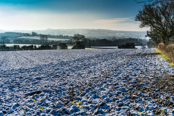 Vista de la mañana temprano a través de un campo arado cubierto de nieve a distante —  Fotos de Stock