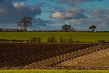Parlak bir kış akşamı Cotswold Kırsal görünümü