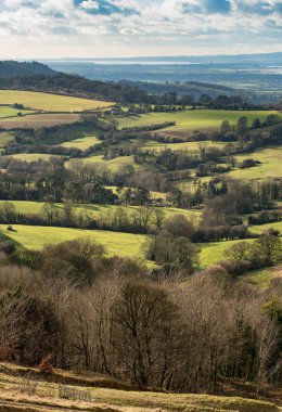 Cotswolds, Gouce'deki Painswick Beacon zirvesinden manzara