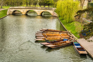 Punts nehir Cam, Cambridge, İngiltere kıyısında demirlemiş