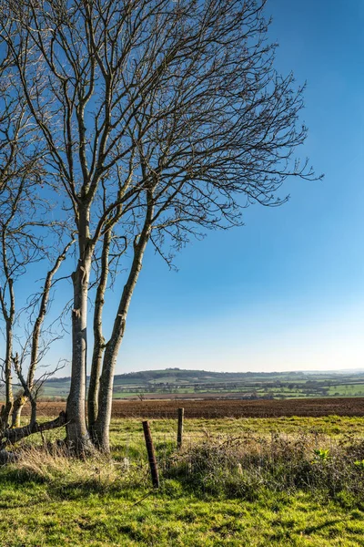 English Countryside , Warwickshire,UK — Stock Photo, Image