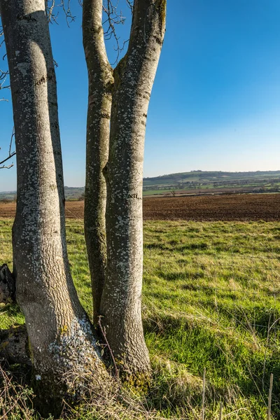 Campo inglés, Warwickshire, Reino Unido —  Fotos de Stock