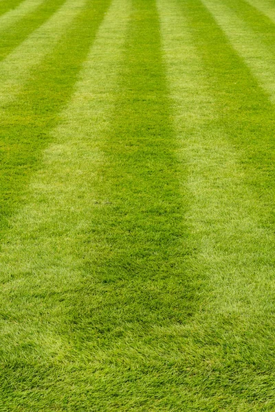 Césped de hierba fresca cortada con rayas — Foto de Stock