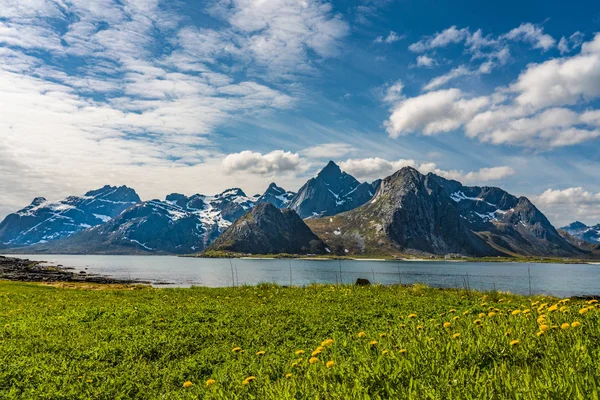 Bello fiordo, Isole Lofoten, Norvegia — Foto Stock