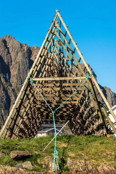 Racks tradicionais de secagem de peixes, Svolvaer, Lofoten Islands, Noruega — Fotografia de Stock