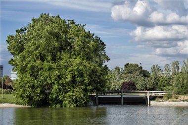 Lagün, ağaçlar ve bir köprü ve Enrique Tierno Galvan park Madrid bir gökyüzü ve bulutlar arka plan manzara. İspanya