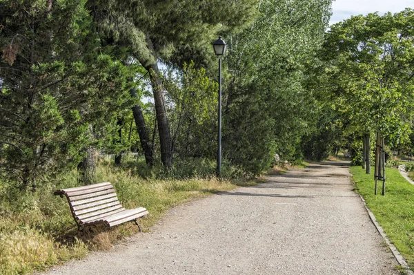 Houten Bankje Naast Een Onverharde Weg Met Bomen Een Park — Stockfoto