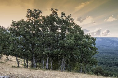 Günbatımı manzara ağaçlar ve bulutlar mirador de Los Robledos Madrid yakınlarındaki. İspanya.