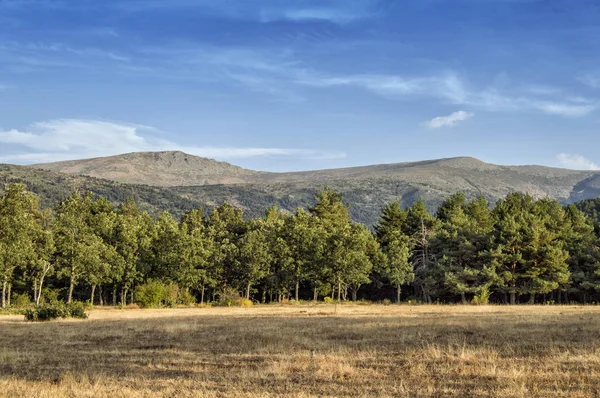 Robledos Rascafra 马德里的观点 草甸与树木和山脉 西班牙 — 图库照片
