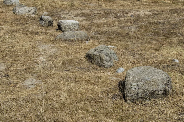 Wiersz Przekątnej Kamieni Polu Suchej Trawy — Zdjęcie stockowe