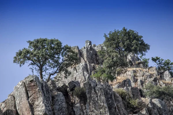 Albacete Sierra Alcaraz Salobre Hocino Boğazı Mikro Yedekte Sarp Dağların — Stok fotoğraf