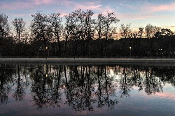 一些树木反映在马德里坎波卡萨湖中 西班牙 — 图库照片
