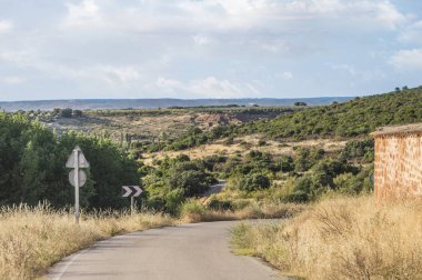 bir duvarın yanında eski yol ile yaz manzara ve ağaçlar, çalılar ve kuru kuru çim bir alan