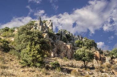 ağaçlar ve çalılar ile kayalık tepe