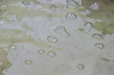 yeşil renk kabarcıkları ile ayakta su ile arka plan