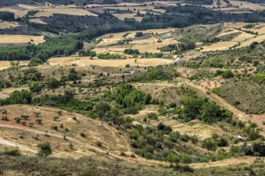 Brihuega yaz aylarında ağaçlarla Alan, Guadalajara eyaleti, Castilla La Mancha, İspanya.