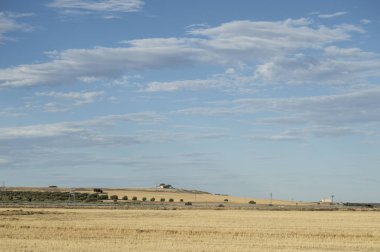 Torrijos, Toledo eyaletinde yaz aylarında kuru çim alan. Castilla la Mancha. İspanya.
