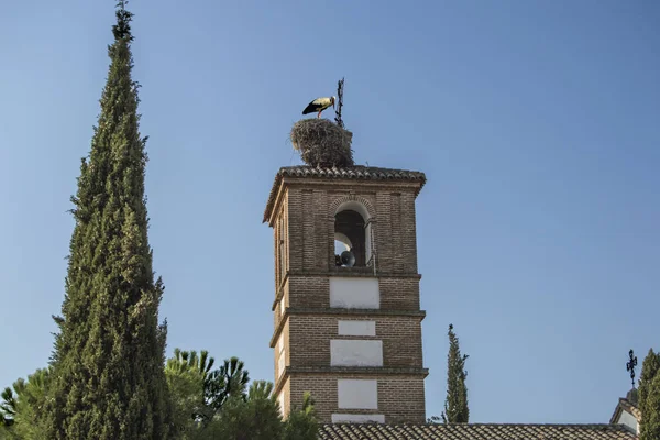 Glockenturm Einer Ländlichen Kirche Mit Einem Nest Und Einem Storch — Stockfoto