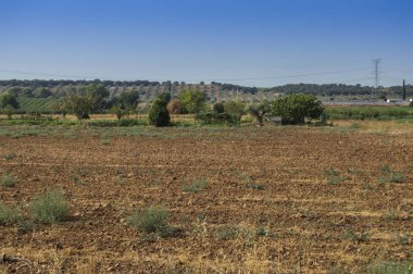 Torrijos, Toledo eyaletinde yaz aylarında Castilla alanları. Castilla la Mancha. İspanya.
