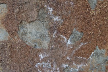 Arka planda bir binanın ön cephesinde bir kas duvarı var.