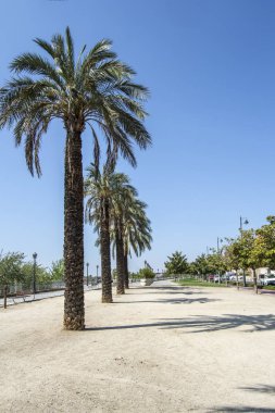 Parktaki patikada avuçlar