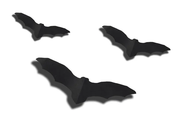 Drie Vleermuizen Van Verschillende Grootte Geïsoleerd Witte Achtergrond — Stockfoto