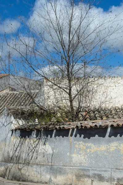 Parede Cinza Telhados Casas Rurais Com Árvore Nua Nuvens Atrás — Fotografia de Stock