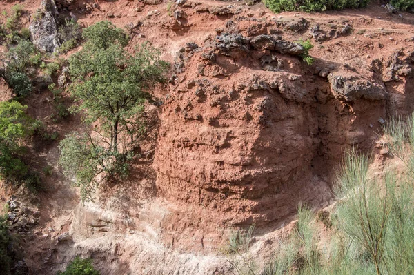 Estrecho Hocino Nun Albacete Reolid Deki Vadilerle Manzarası Spanya — Stok fotoğraf