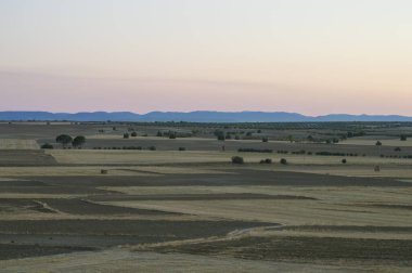 Toledo 'nun arka planında dağınık ağaçlar ve gökyüzü olan bir alan. İspanya